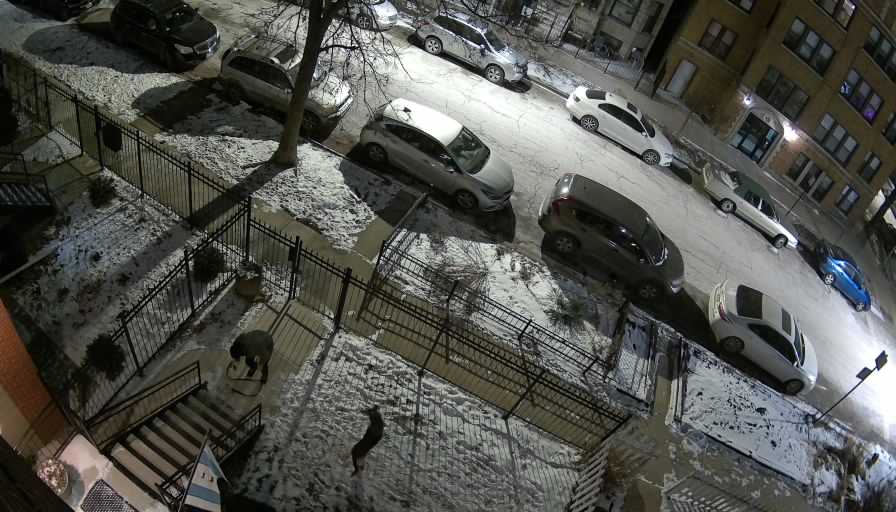 Reolink Camera One_00_Reolink Home Hub One_20260120213753.jpg